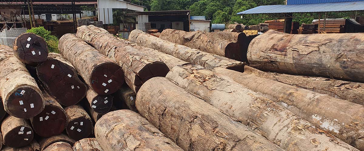 MERBAU LOG